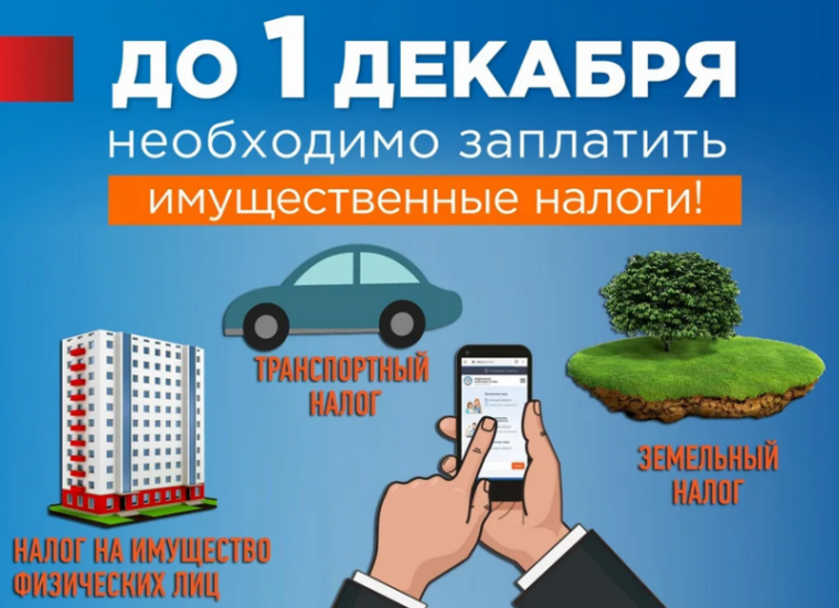 срок уплаты налогов- 1 декабря. срок уплаты налогов- 1 декабря.