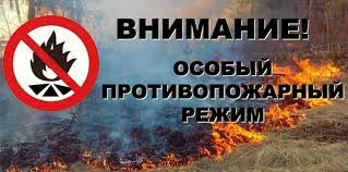 Постановление Правительства Омской области. Постановление Правительства Омской области.